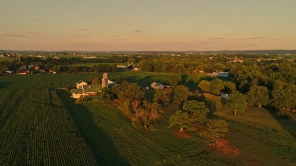 Widok Lotu Ptaka Amish Farms Fields Czasie Złotej Godziny Późnym — Wideo stockowe