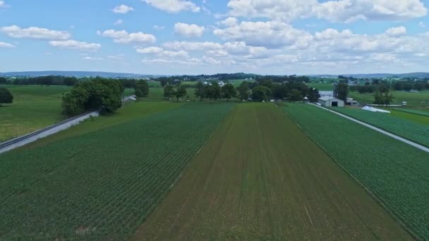 Aerial Traveling View Corn Fields Harvesting Crops Patches Color Beautiful — 图库视频影像