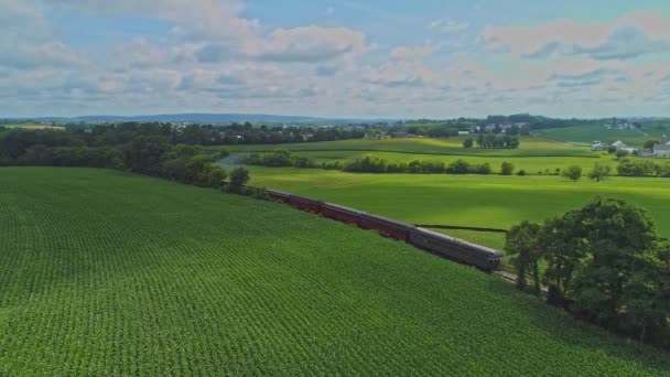 Una Vista Aerea Sui Campi Mais Sui Raccolti Con Macchie — Video Stock