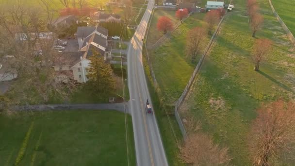 Aerial View Amish Horse Buggy Traveling Rural Country Road Late — 图库视频影像