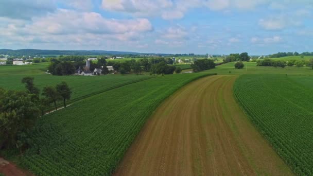 Uma Vista Aérea Itinerante Campos Milho Colheitas Com Manchas Cor — Vídeo de Stock