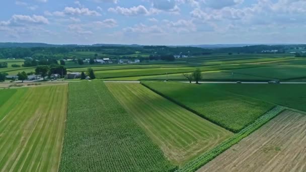 Uma Vista Aérea Itinerante Campos Milho Colheitas Com Manchas Cor — Vídeo de Stock