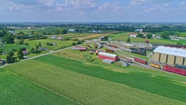 Vedere Aeriană Câmpurilor Porumb Culturilor Recoltare Curte Tren Patch Uri — Videoclip de stoc