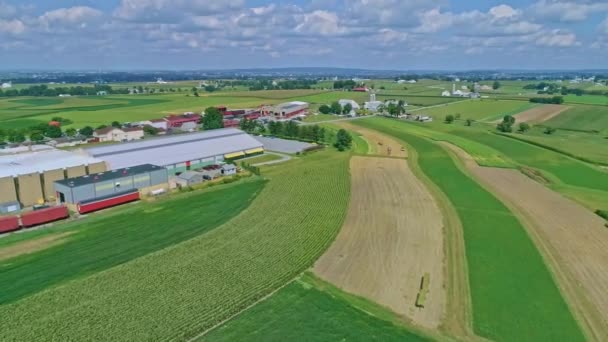 Sebuah Pemandangan Terbang Ladang Jagung Dan Panen Tanaman Dengan Kereta — Stok Video