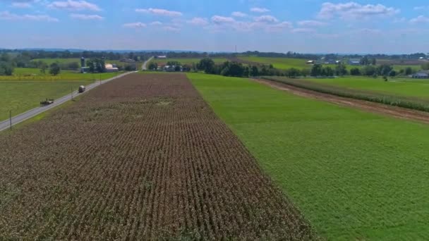 Una Vista Aérea América Rural Las Tierras Cultivo Amish Con — Vídeos de Stock