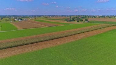 Amiş çiftliklerinin kırsal Amerika 'sının güneşli bir yaz gününde Amish' lerin ekinleri biçtiği hava manzarası.
