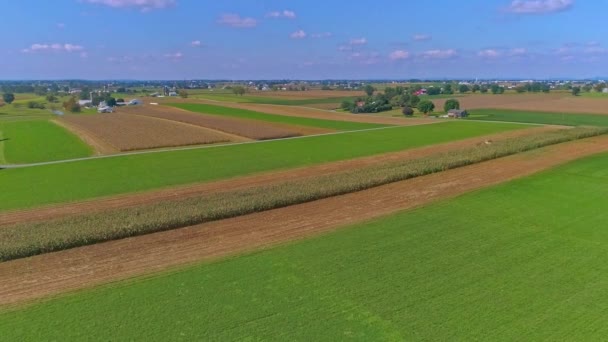 Eine Luftaufnahme Des Ländlichen Amerikas Von Amish Farmlands Mit Amischen — Stockvideo