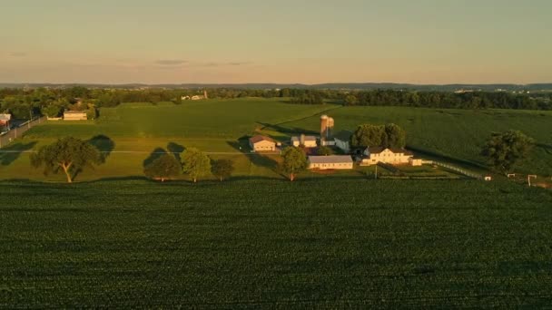 Воздушный Обзор Ферм Полей Амишей Течение Золотого Часа Поздним Летним — стоковое видео