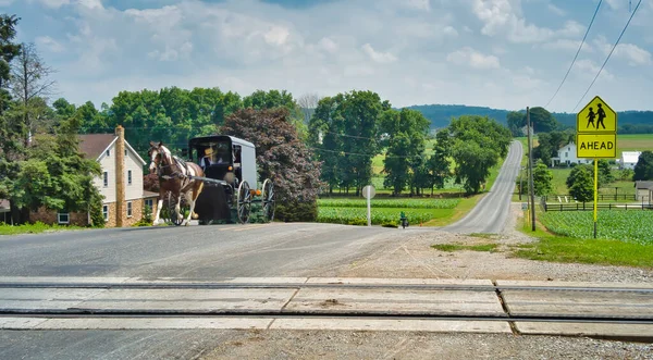 Amish Horse και Buggy Προσεγγίζοντας σε ένα αγροτικό δρόμο — Φωτογραφία Αρχείου