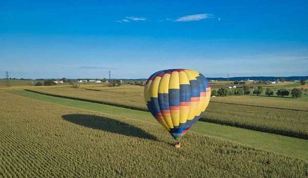 Single Hot Air Balloon Flying Just Over Corn Fields During a Balloon Festival — Foto Stock