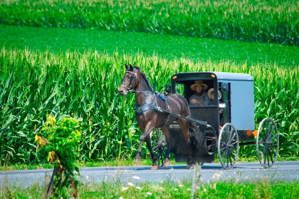 Amish Horse and Buggy approaching on a Rural Road With Boy and His Father — Stockfoto