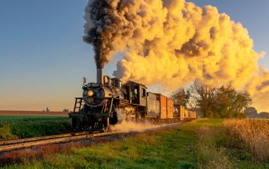 Antik Yük Buharlı Treni Görünümü Gün doğumunda Thru Ağaçlarına yaklaşan Duman Esintisi