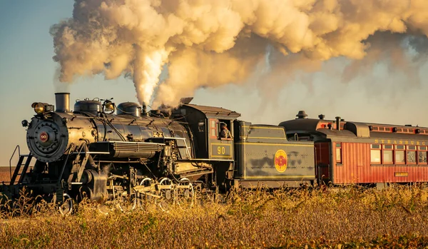Vista de un tren de vapor de carga antiguo que sopla humo acercándose a través de árboles al amanecer —  Fotos de Stock
