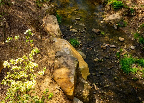 Kis patak fut keresztül sok sziklák és sziklák fák csak most kezd virágozni — Stock Fotó