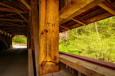 Kapalı Köprü İlkbaharda Çatlaklarla Bir Ormana Bakıyor