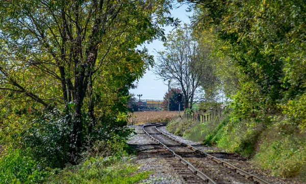 Voie de chemin de fer solitaire contournant un virage à travers les arbres et les terres agricoles — Photo