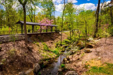 Ormandaki Yalnız Tren İstasyonu Bir Akarsu ve Taş Duvarlı