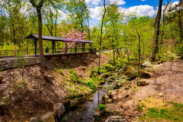 Estación de tren solitaria en el bosque con un arroyo y un muro de piedra — Foto de Stock