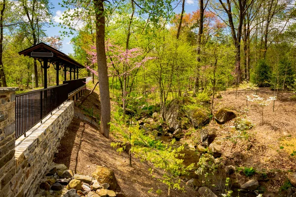 Ormandaki Yalnız Tren İstasyonu Bir Akarsu ve Taş Duvarlı — Stok fotoğraf