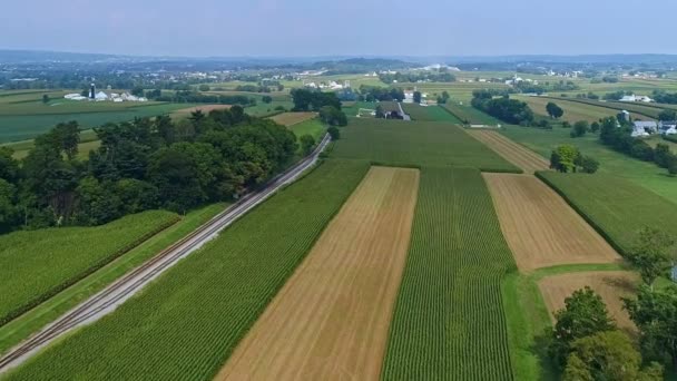 Letecký Lowing Pohled Pole Plodné Kukuřice Kolejnicí Silniční Trať Běží — Stock video