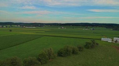 Güneşli bir yaz gününde mısır tarlalarının, verimli tarım arazilerinin ve çiftliklerin yükselen hava manzarası