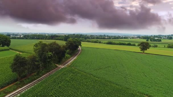 Una Vista Aérea Los Campos Maíz Las Tierras Cultivo Fértiles — Vídeos de Stock