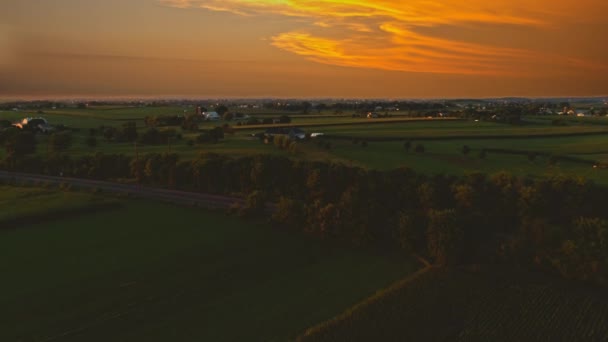 Letecký Pohled Kukuřičná Pole Úrodné Farmy Farmy Při Západu Slunce — Stock video