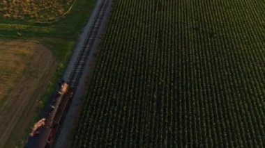 Ronks, Pennsylvania, 30 Temmuz 2021 - Bir Yaz Saati sırasında Thru Mısır Tarlaları ve Tarım Alanlarından Geçen Buharlı Yolcu Treninin Hava Görünümü