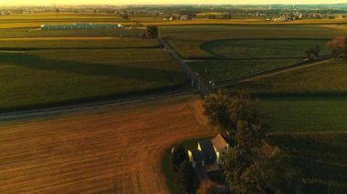 Güneşli bir yaz gününde, Altın Saatteki Mısır Tarlaları ve Bereketli Çiftlikler 'in Hava Manzarası