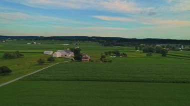 Güneşli bir yaz gününde mısır tarlalarının, verimli tarım arazilerinin ve çiftliklerin havadan görünüşü
