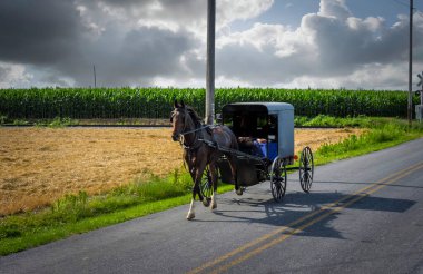 Bir Amish Atı ve At Arabası Demiryolu Geçidi 'nden Taşra Yolunda Geziniyor