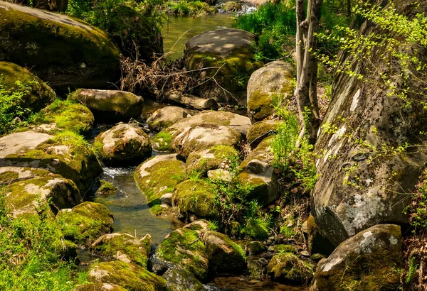 Kleine beek rennend Thru Vele rotsen en rotsblokken met bomen net beginnen te bloeien — Stockfoto