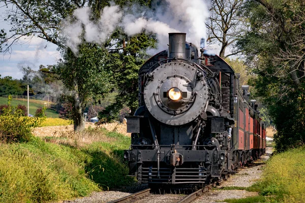 Vista de una locomotora de vapor antigua acercándose a través de árboles —  Fotos de Stock