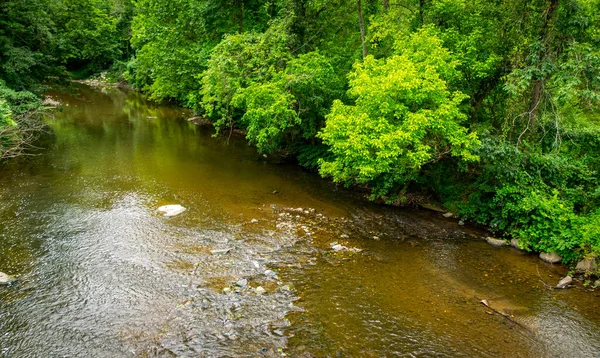 Uitzicht op een beek Met een kleine waterval in het midden van een bos — Stockfoto