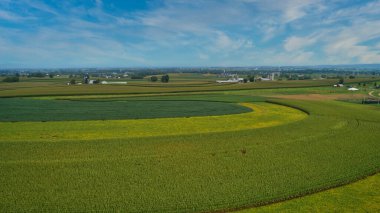 Drone View of Amish Countryside With Barns and Silos and Corn, Patch Work of Color and Corps, on Sunny Day.