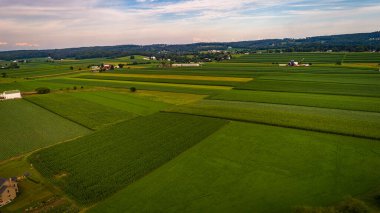 Güneşli bir yaz gününde yetişen tepelere ve verimli mahsullerin tarlalarına bakan ahır ve silolarla dolu tarım arazilerinin havadan görüntüsü.