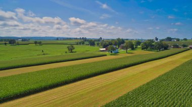 Drone View of Amish Countryside With Barns and Silos and Corn, Patch Work of Color and Corps, on Sunny Day.