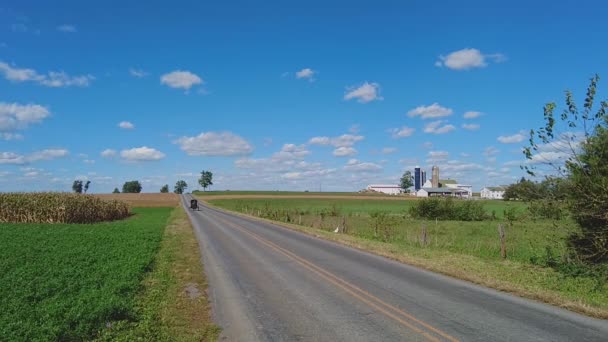 在一个美丽的阳光灿烂的日子里 一辆爱美的马和一辆童车沿着乡间小路经过农场 缓缓前行 — 图库视频影像
