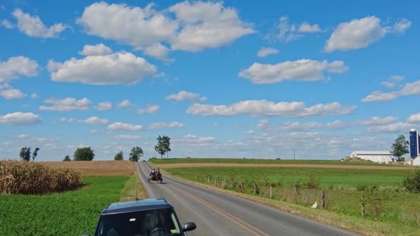 Ronks Pennsylvania September 2021 Amish Open Horse Buggy Approaching Country — Wideo stockowe