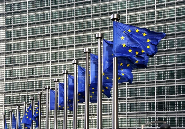 Drapelele Uniunii Europene la Bruxelles — Fotografie, imagine de stoc
