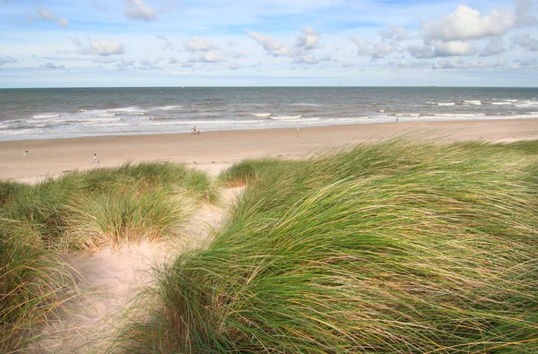 Duinen — Stockfoto