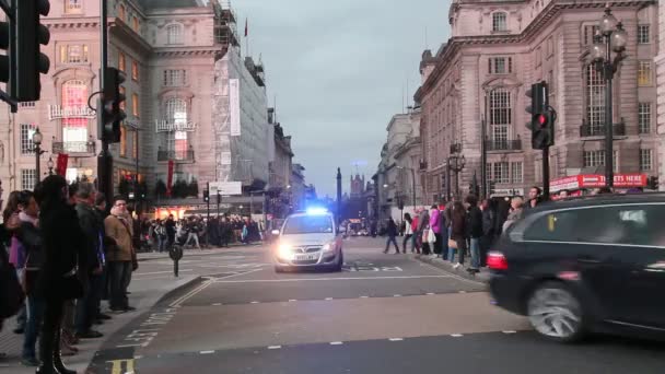 Polisbil med siren i london — Stockvideo