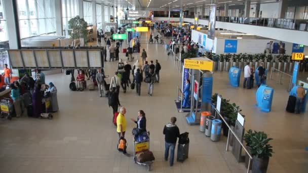 Ταξιδιώτες στο αεροδρόμιο schiphol — Αρχείο Βίντεο