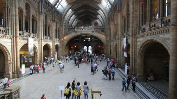 Museo de Historia Natural de Londres — Vídeo de stock