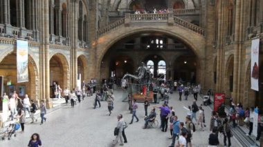Doğal Tarih Müzesi Londra, İngiltere'de ziyaret