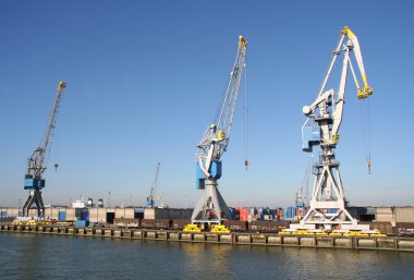 Harbour Vinçler