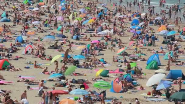 Gente en la playa — Vídeo de stock