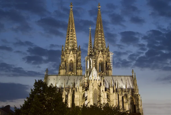 Cologne καθεδρικός ναός τη νύχτα — Φωτογραφία Αρχείου