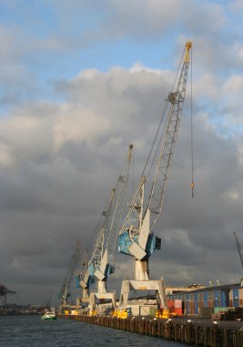 Rotterdam Limanı Vinçler