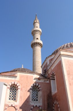 Cami